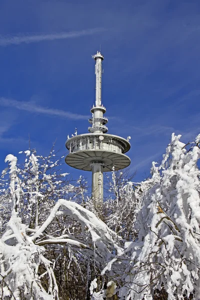 Radio tower in the winter with snow capped firs — Stock Photo, Image