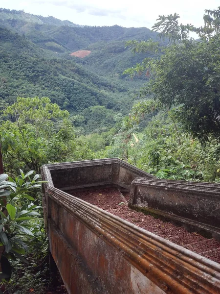 Tayland ormanına giden merdiven..