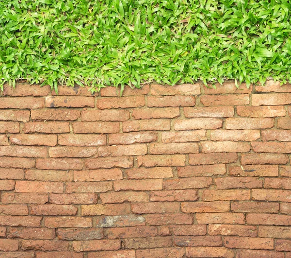 Top vista tijolo caminho a pé e grama terra fundo textura — Fotografia de Stock