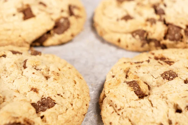 Ronde zachte bake chocolate chip cookie close-up Stockfoto
