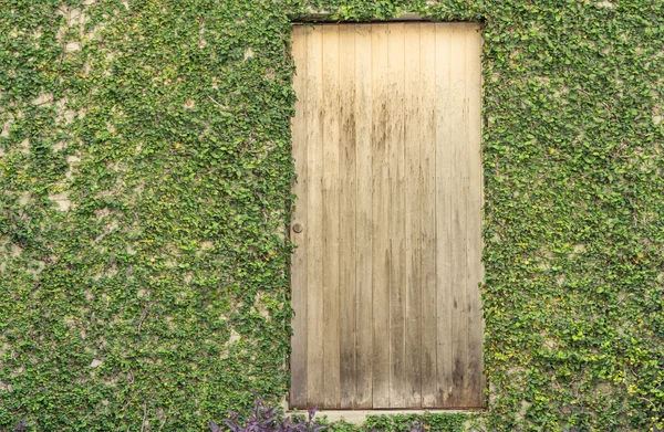 Puerta de madera vieja en verde Botón de capa textura de fondo de pared — Foto de Stock