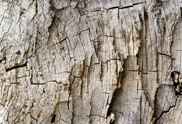 Ruwe oude houten textuur achtergrond — Stockfoto
