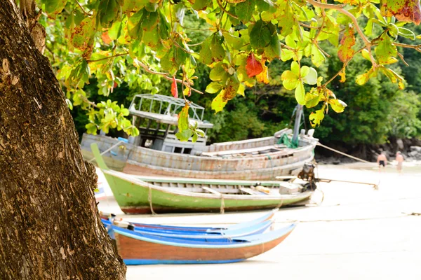 Wooden fishery boat ship wreck — Stock Photo, Image