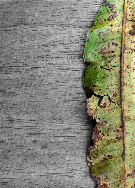 Grunge czarny drewno tekstury z rozpadu liść — Zdjęcie stockowe