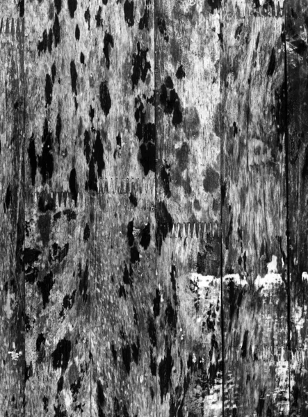 Grunge black wood texture — Stock Photo, Image