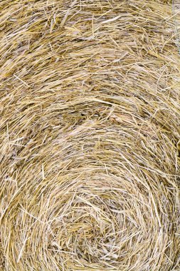Yuvarlak saman yığını doku arka plan