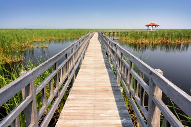 Bataklıkta ahşap geçit köprüsü