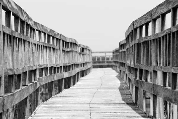 Puente pasarela de madera en un pantano — Foto de Stock