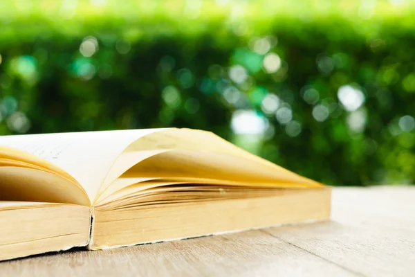 Reading old book in garden — Stock Photo, Image