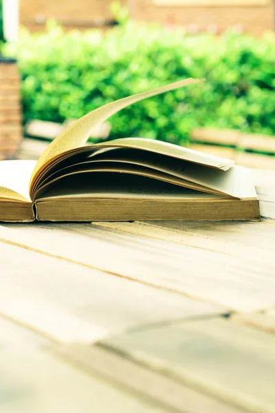 Reading old book in garden — Stock Photo, Image