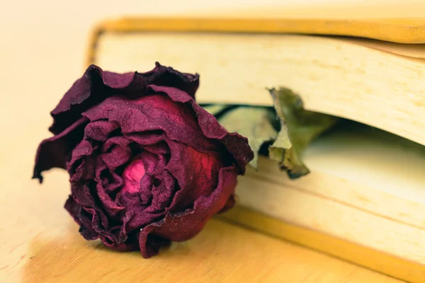 Dry red rose on vintage old book — Stock Photo, Image