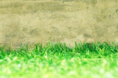 yeşil çimen çimento arka plan doku
