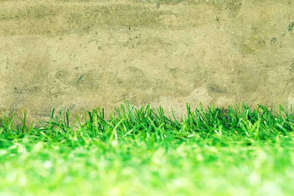 Hierba verde grunge cemento fondo textura — Foto de Stock