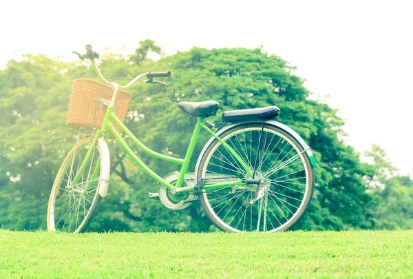 Vintage cykel surround med träd i en del — Stockfoto