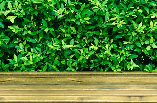 Mesa de madera marrón en la pared de hierba verde borrosa —  Fotos de Stock