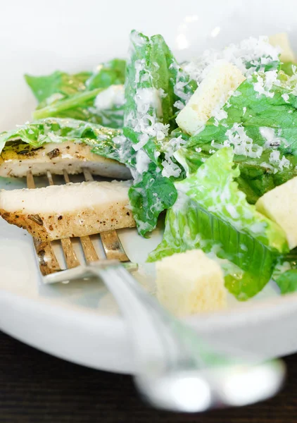 Salada de frango Ceasar — Fotografia de Stock