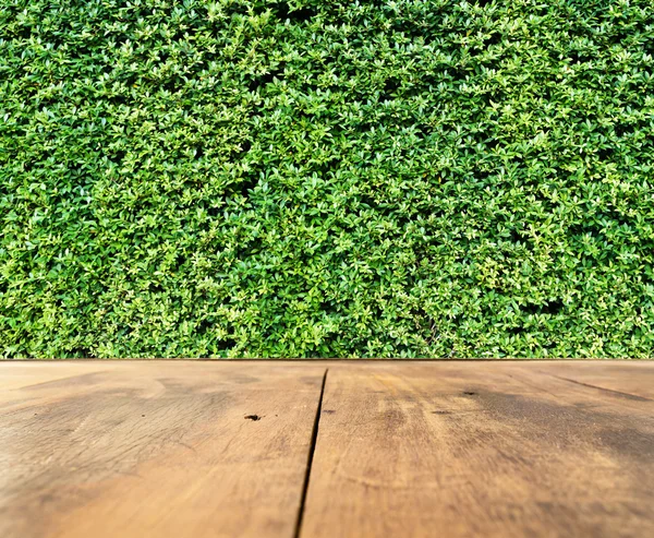 Hnědý dřevěný stůl na rozostření zelené trávě zeď — Stock fotografie