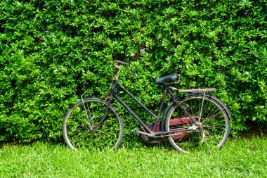 Yeşil çim bahçesinde Vintage Bisiklet