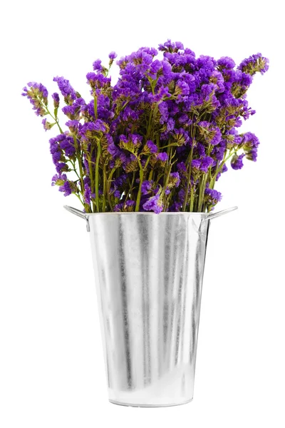 Purple Lavender in iron flower pot bucket — Stock Photo, Image