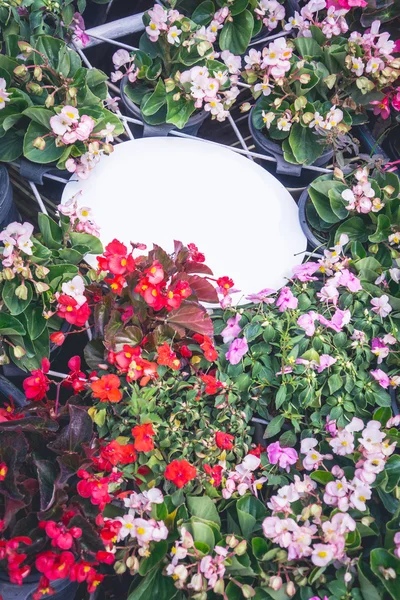 Panneau blanc blanc sur fond de fleur — Photo