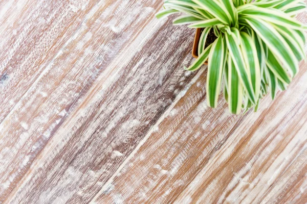 Grunge fondo de mesa de madera con maceta — Foto de Stock