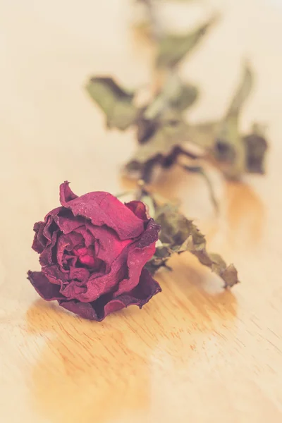 老式的干燥红玫瑰木桌上 — 图库照片