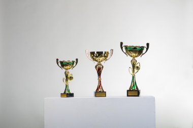 Altın Kupa kazanan