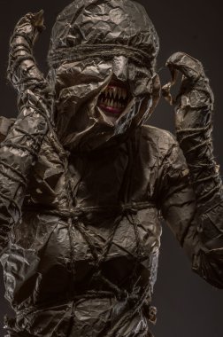 Kağıt ambalaj vücut