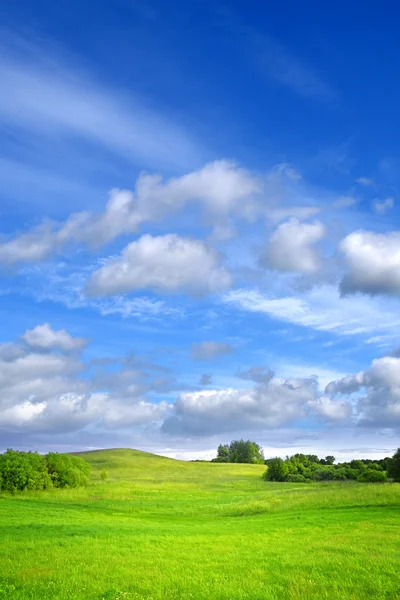 Landscape — Stock Photo, Image