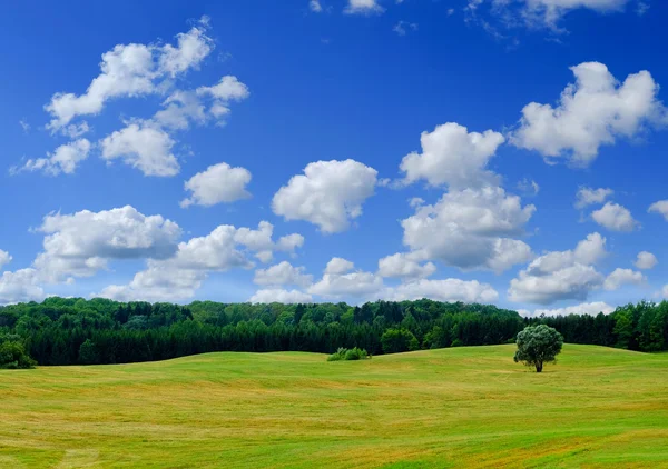 Countrisyde landsacpe — Stock Fotó