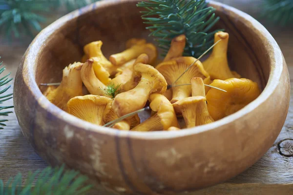 Chanterelles in wooden bowl — Stock Photo, Image