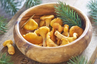 chanterelles ahşap kase