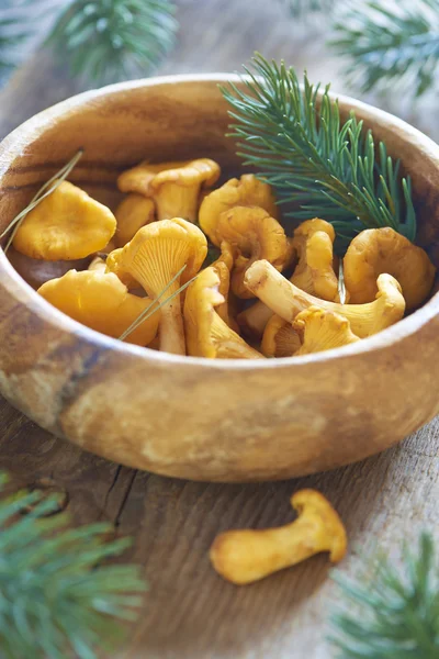 Chanterelles in wooden bowl — Stock Photo, Image