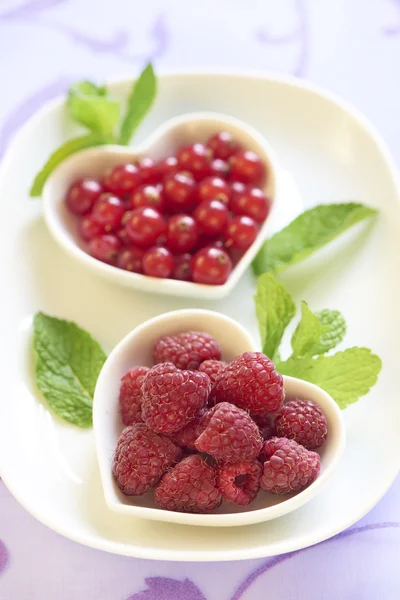 Fresh raspberries and red currant — Stock Photo, Image