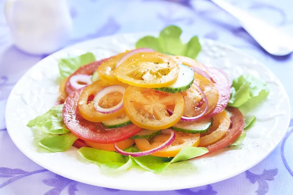 Soğan ve salatalık domates salatası — Stok fotoğraf