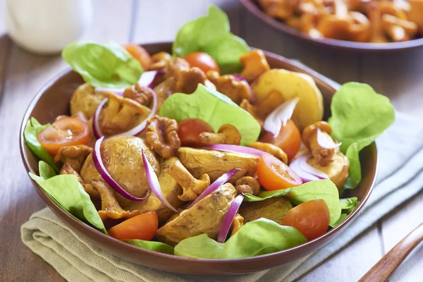 Potato salad with chanterelles, tomatoes and onions — Stock Photo, Image