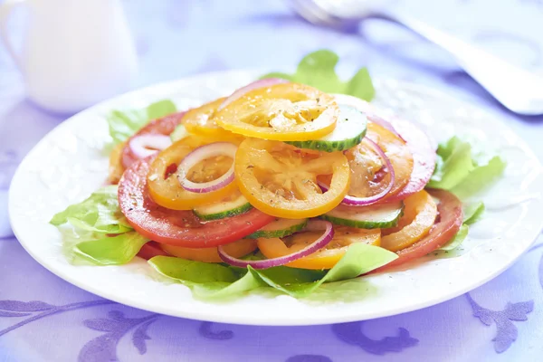 Salada de tomate com cebola e pepino — Fotografia de Stock