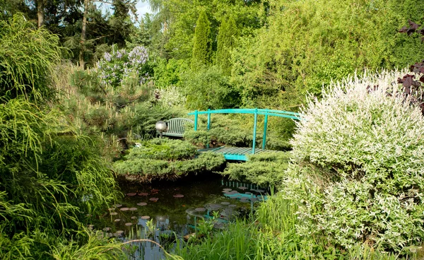 Små gröna gångbro över en damm — Stockfoto