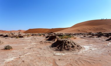 Dune Namib Çölü'nde gizli Vlei içinde 