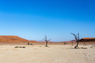 Namib Çölü'nde gizli Vlei 