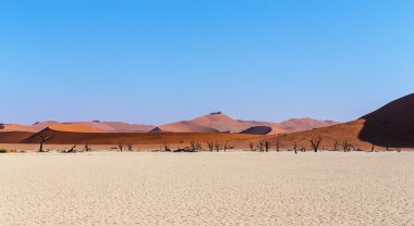 Namib Çölü'nde gizli Vlei 