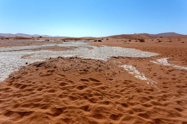 ナミブ砂漠に隠された Vlei — ストック写真