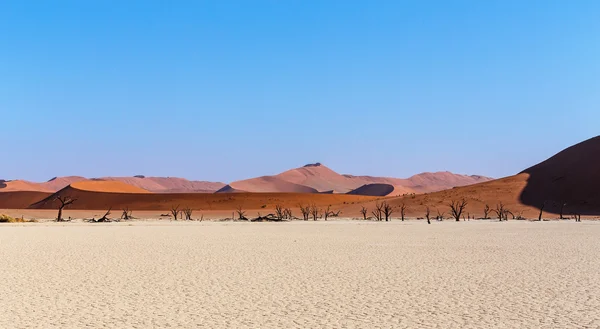 Vlei escondido no deserto da Namíbia — Fotografia de Stock
