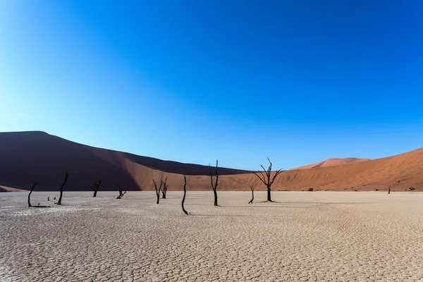 Hidden Vlei in Namib desert — Stock Photo, Image