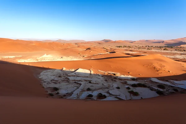 Skryté Vlei v poušti Namib — Stock fotografie