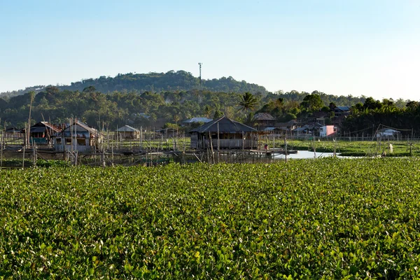 Fazenda de peixes no Lago Tondano — Fotografia de Stock