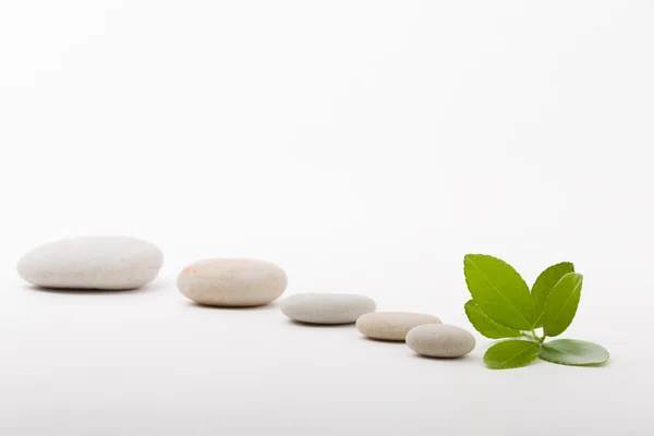 Zen-Steine und grünes Blatt — Stockfoto