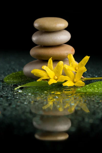 Równoważenie zen kamienie na czarny z żółtym kwiecie — Zdjęcie stockowe