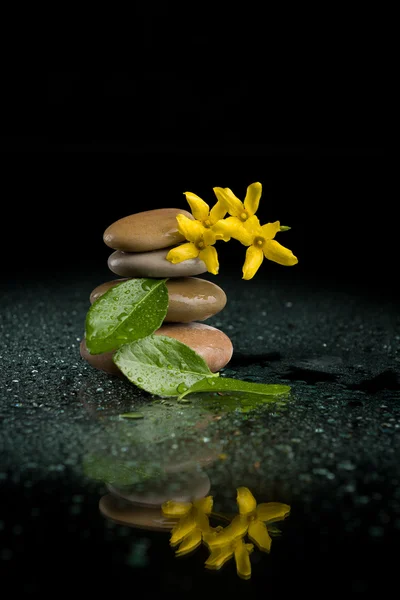 Balancing zen stones on black with yellow flower — Stock Photo, Image