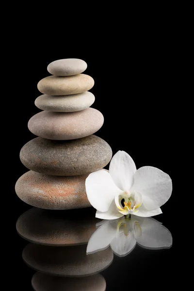 Balansera zen stenar på svart med vit blomma — Stockfoto